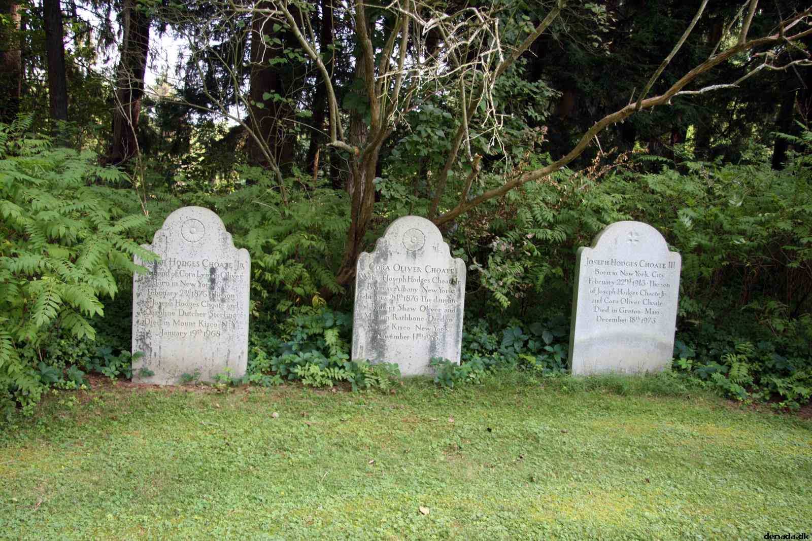* Image 57