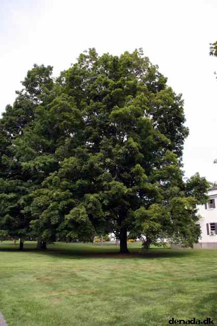 * Image 9