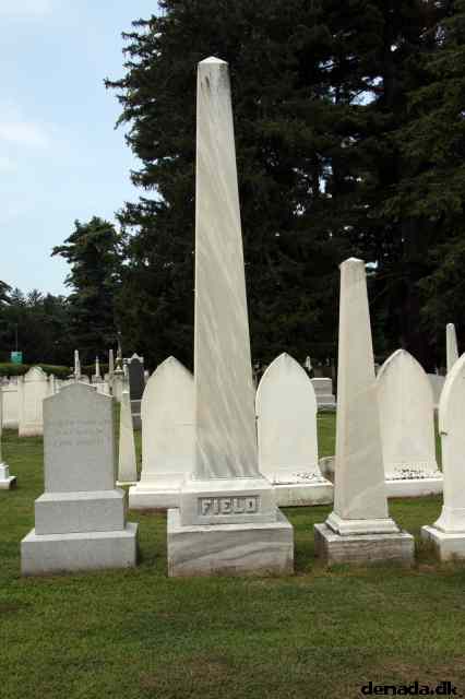* Image 17