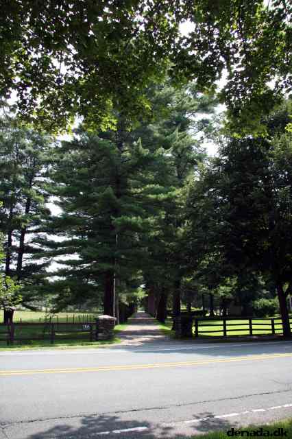 * Image 37