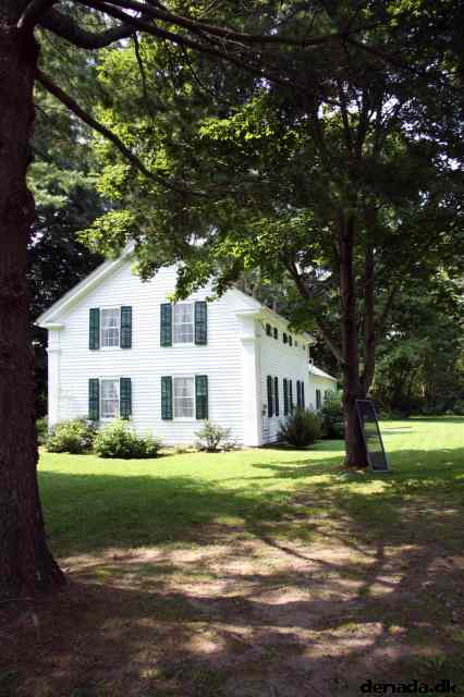 * Image 41