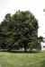 200908200065m.jpg - 2009:08:20 11:44:26