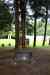 200908200089m.jpg - 2009:08:20 12:02:22