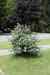 200908200094m.jpg - 2009:08:20 12:06:06