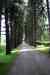 200908200113m.jpg - 2009:08:20 12:27:03