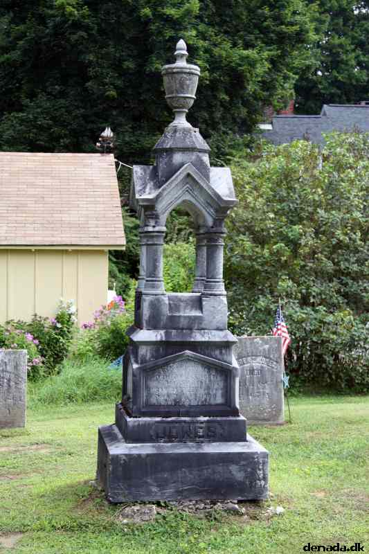 * Image 19