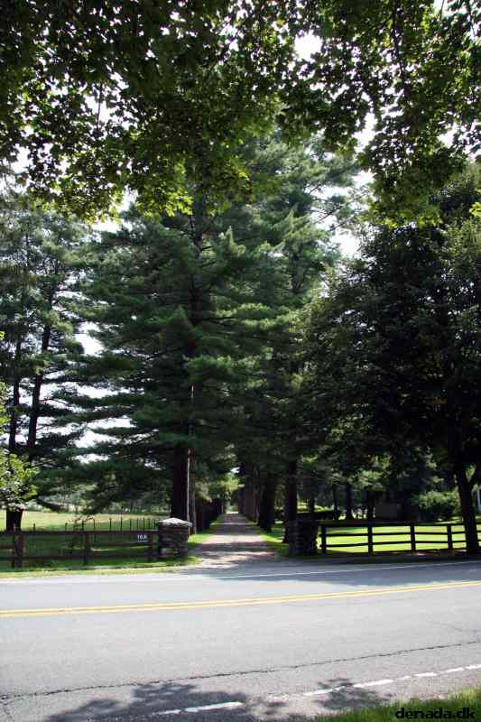 * Image 37