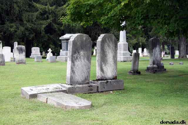 * Image 22