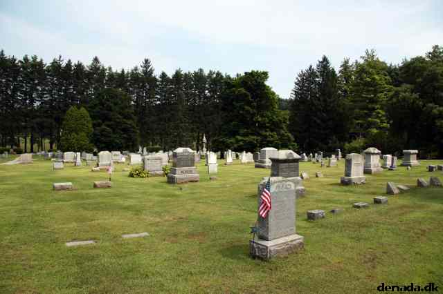 * Image 31