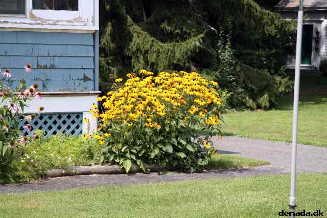 * Image 40