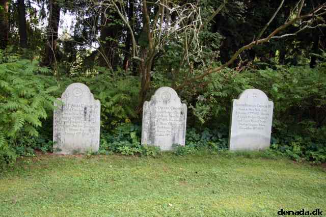 * Image 57