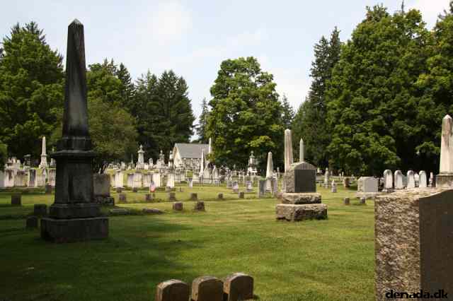 * Image 61