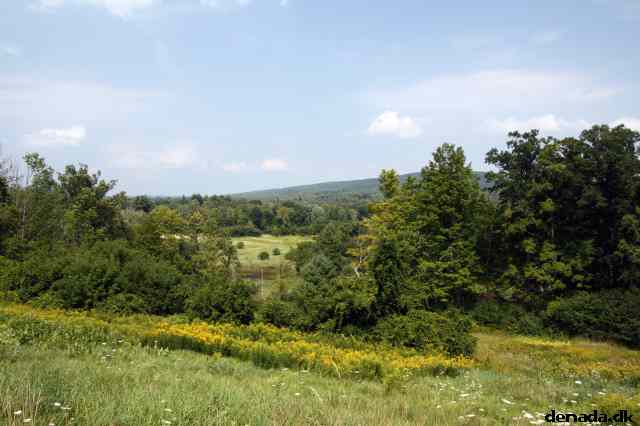 * Image 75