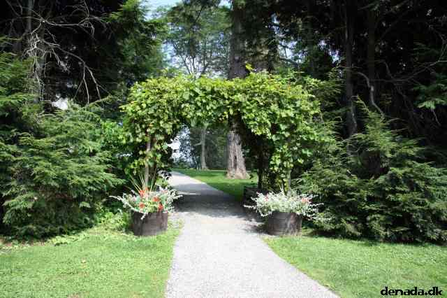 * Image 78