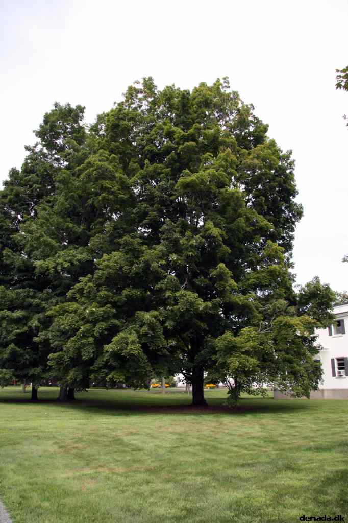 * Image 9