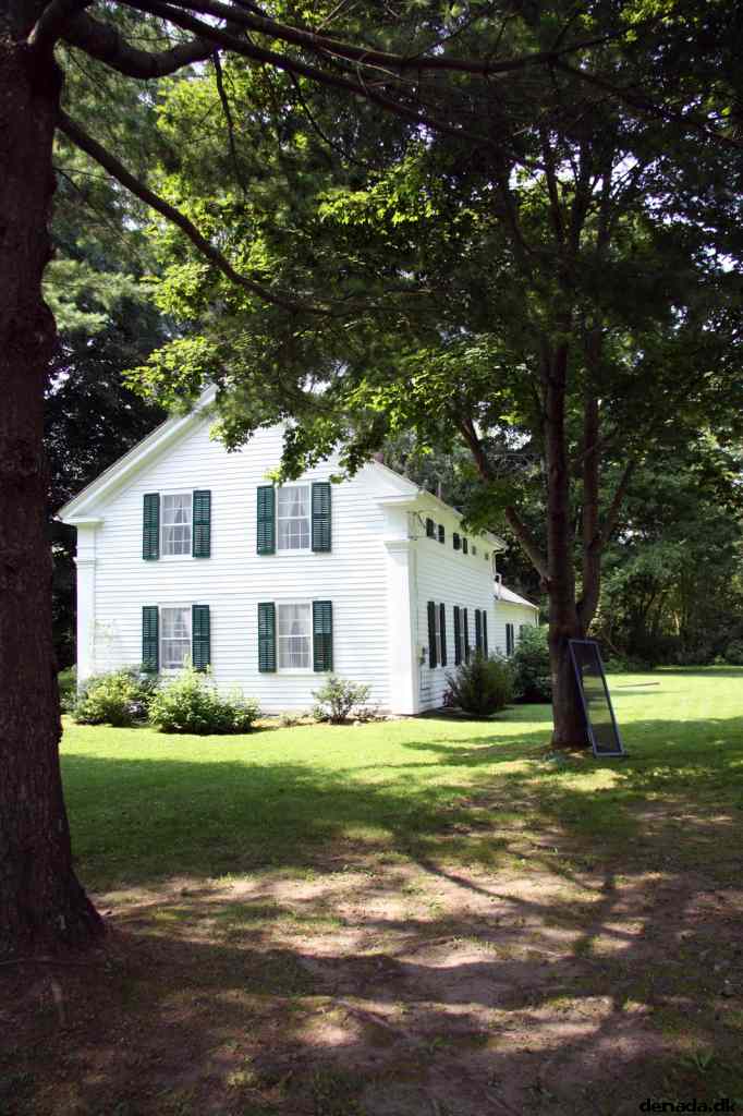 * Image 41