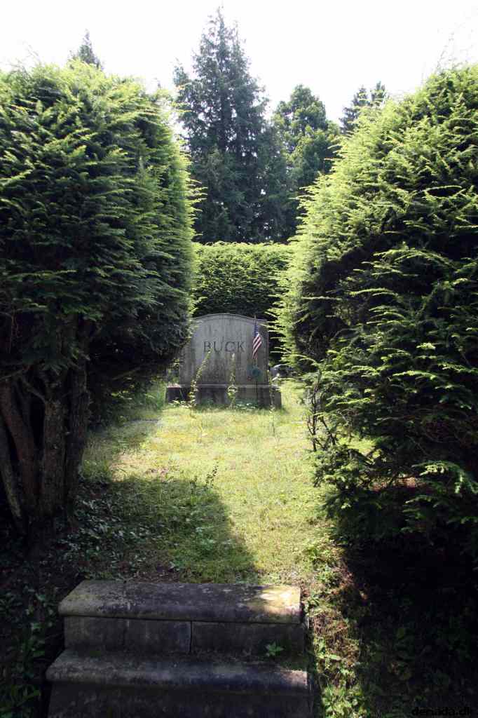 * Image 58