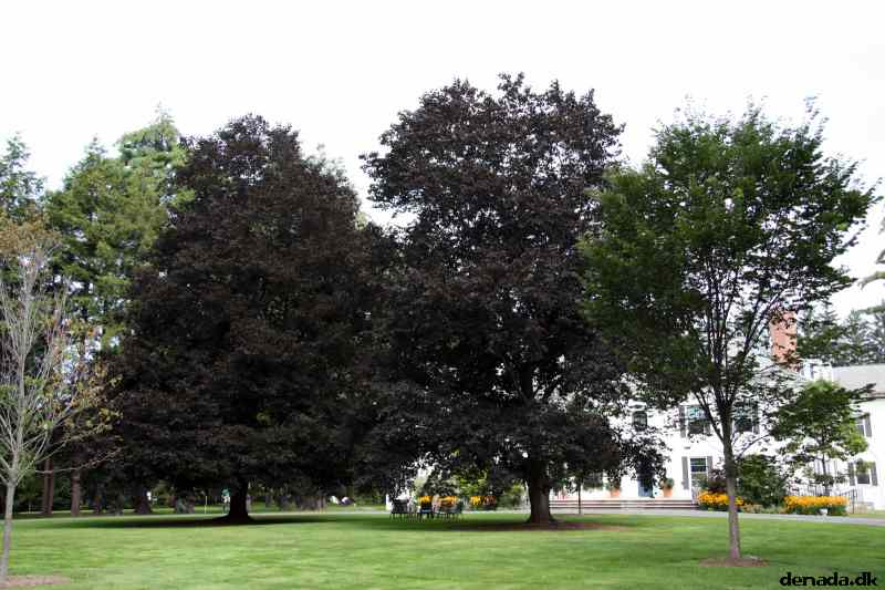 * Image 10