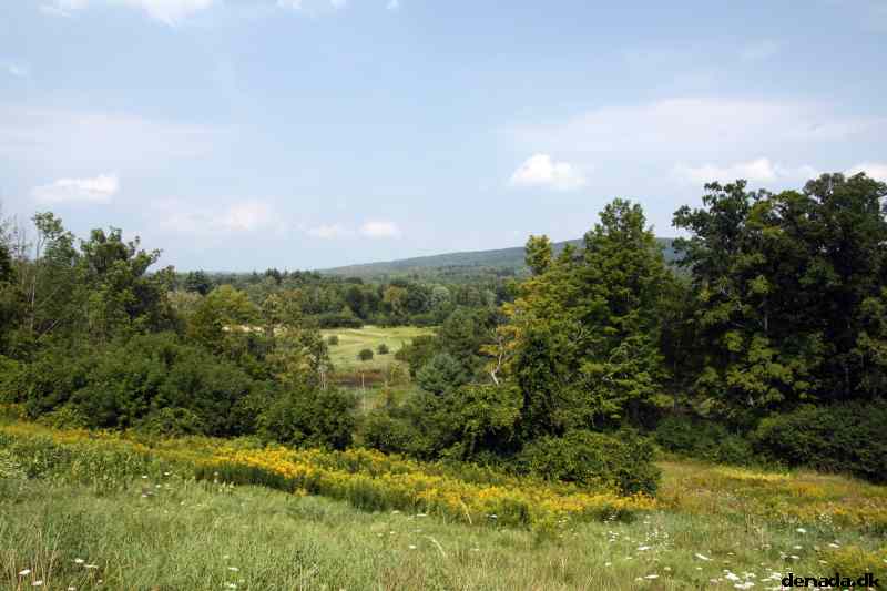* Image 75