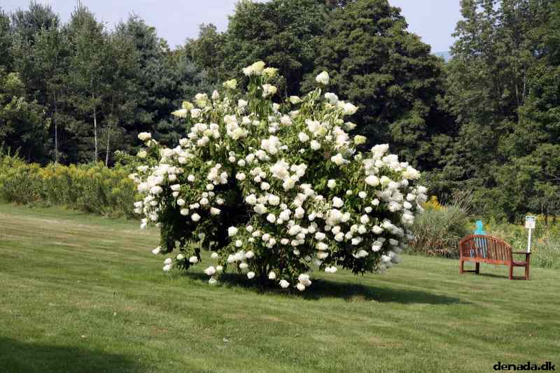 * Image 77