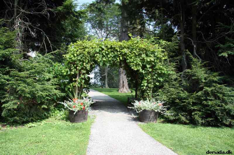 * Image 78
