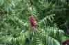 200908210043m.jpg - 2009:08:21 14:17:48