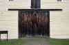 200908210062m.jpg - 2009:08:21 14:49:17