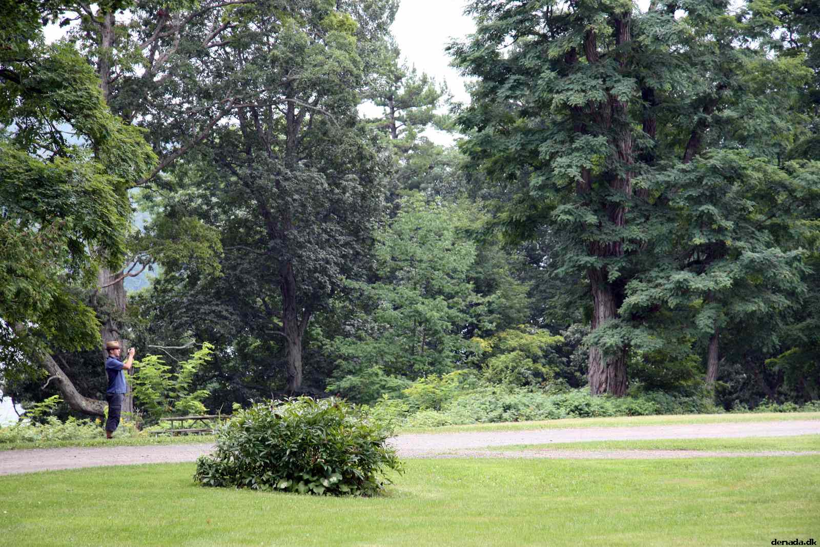 * Image 10