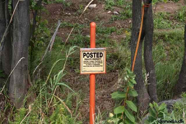 * Image 3