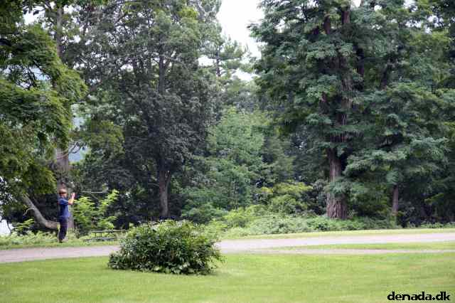 * Image 10