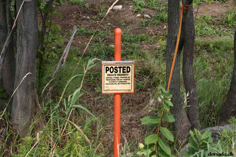* Image 3