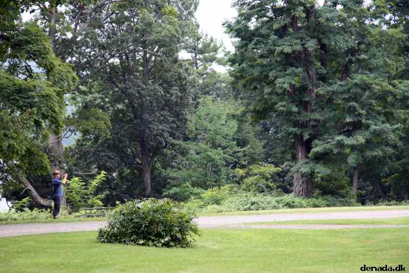 * Image 10