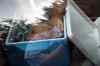 200908220018m.jpg - 2009:08:22 14:57:23