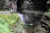 200908220114m.jpg - 2009:08:22 18:00:07