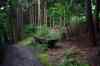 200908220267m.jpg - 2009:08:22 19:38:34