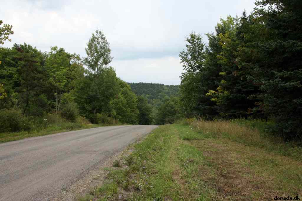 * Image 3