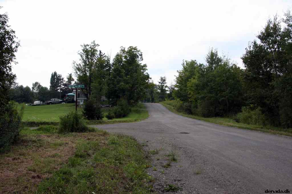 * Image 4