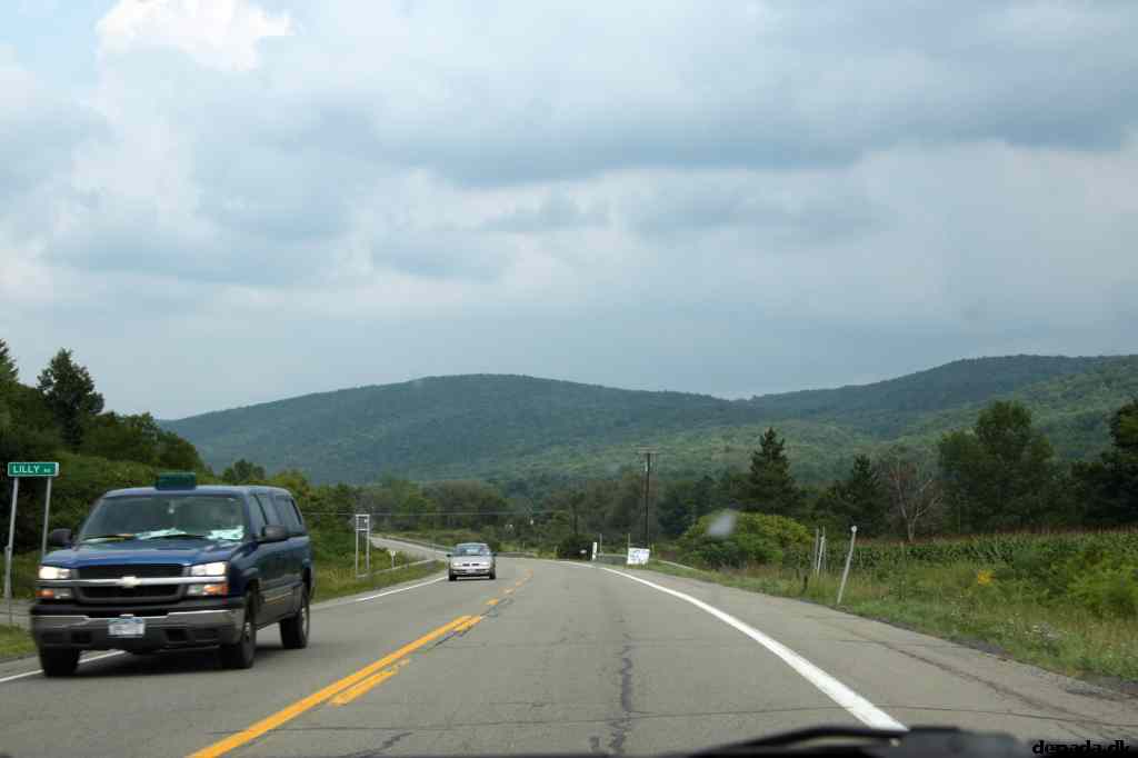 * Image 8