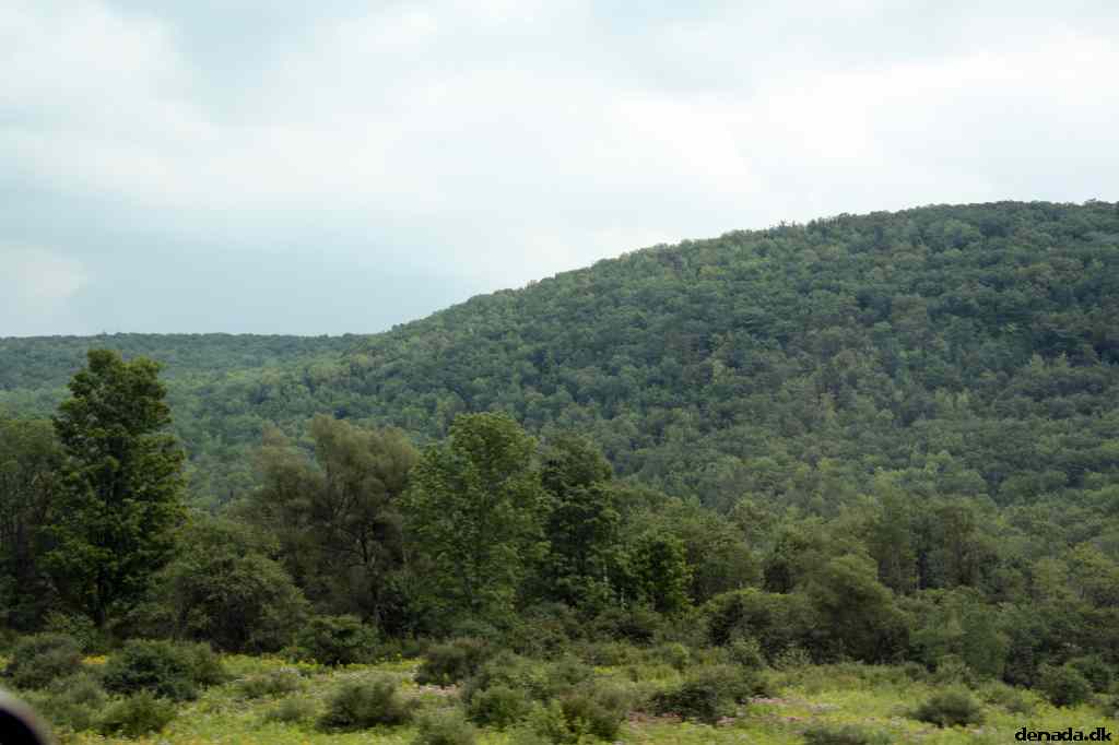 * Image 10