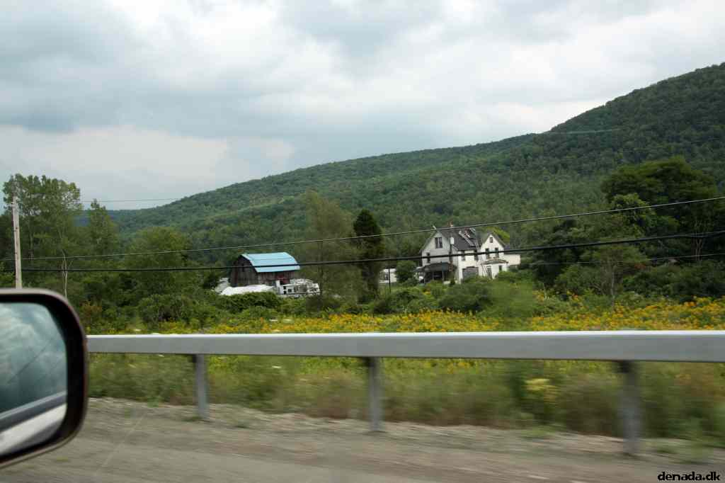 * Image 11
