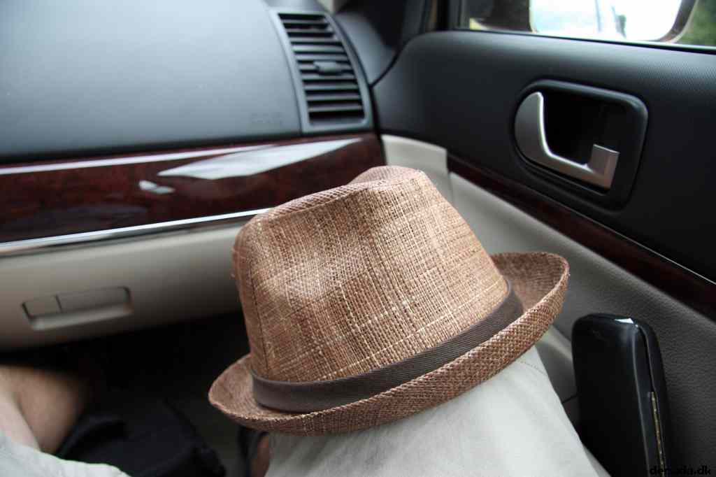 * Image 12