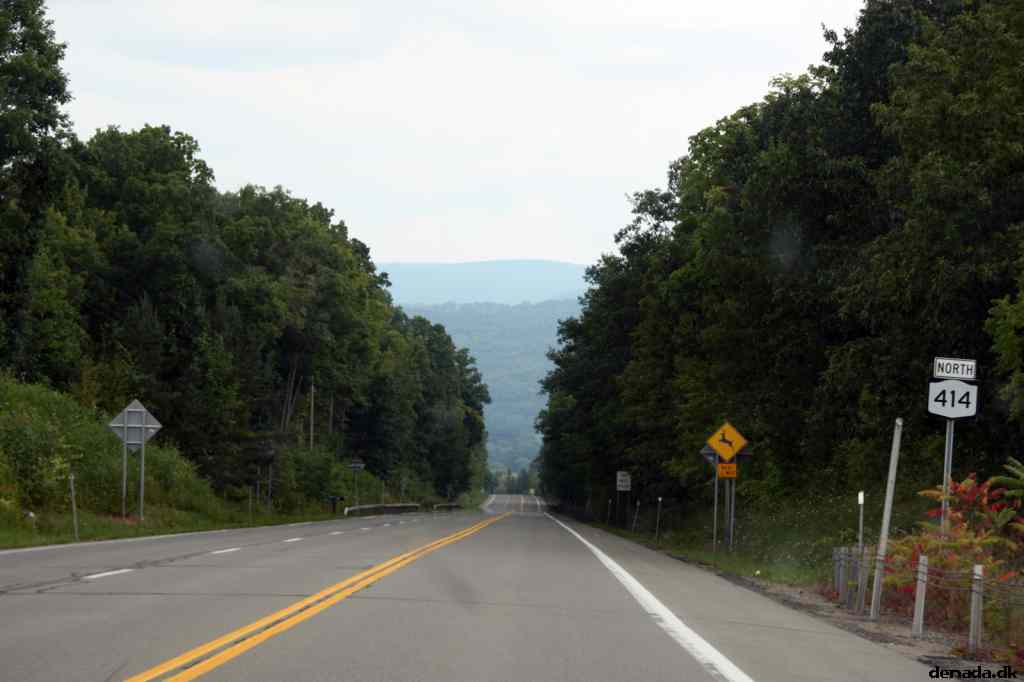 * Image 15