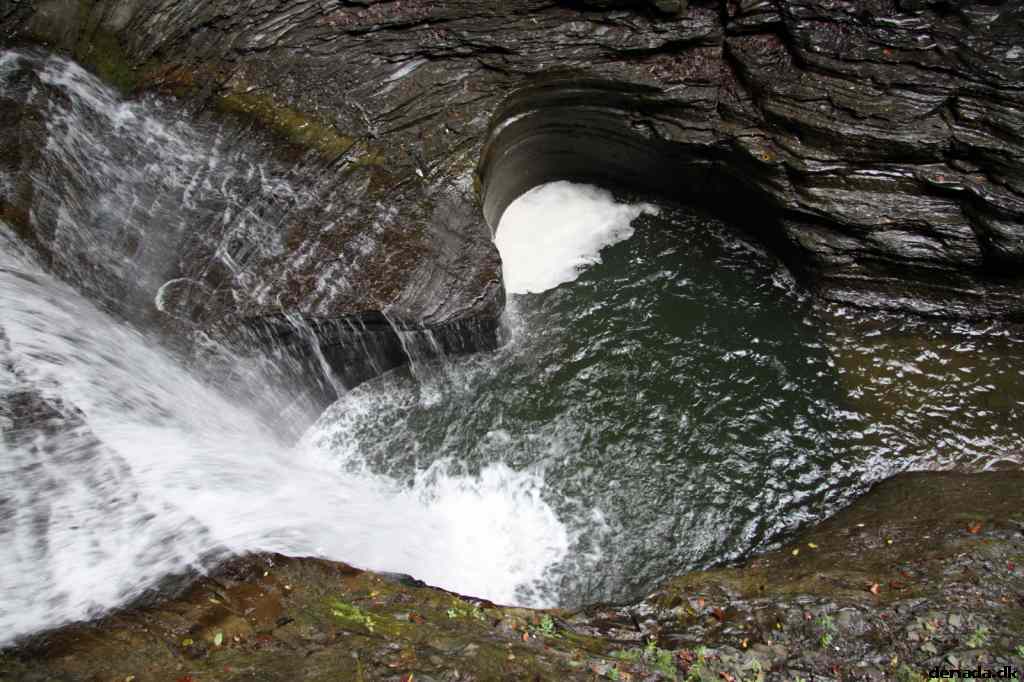 * Image 58