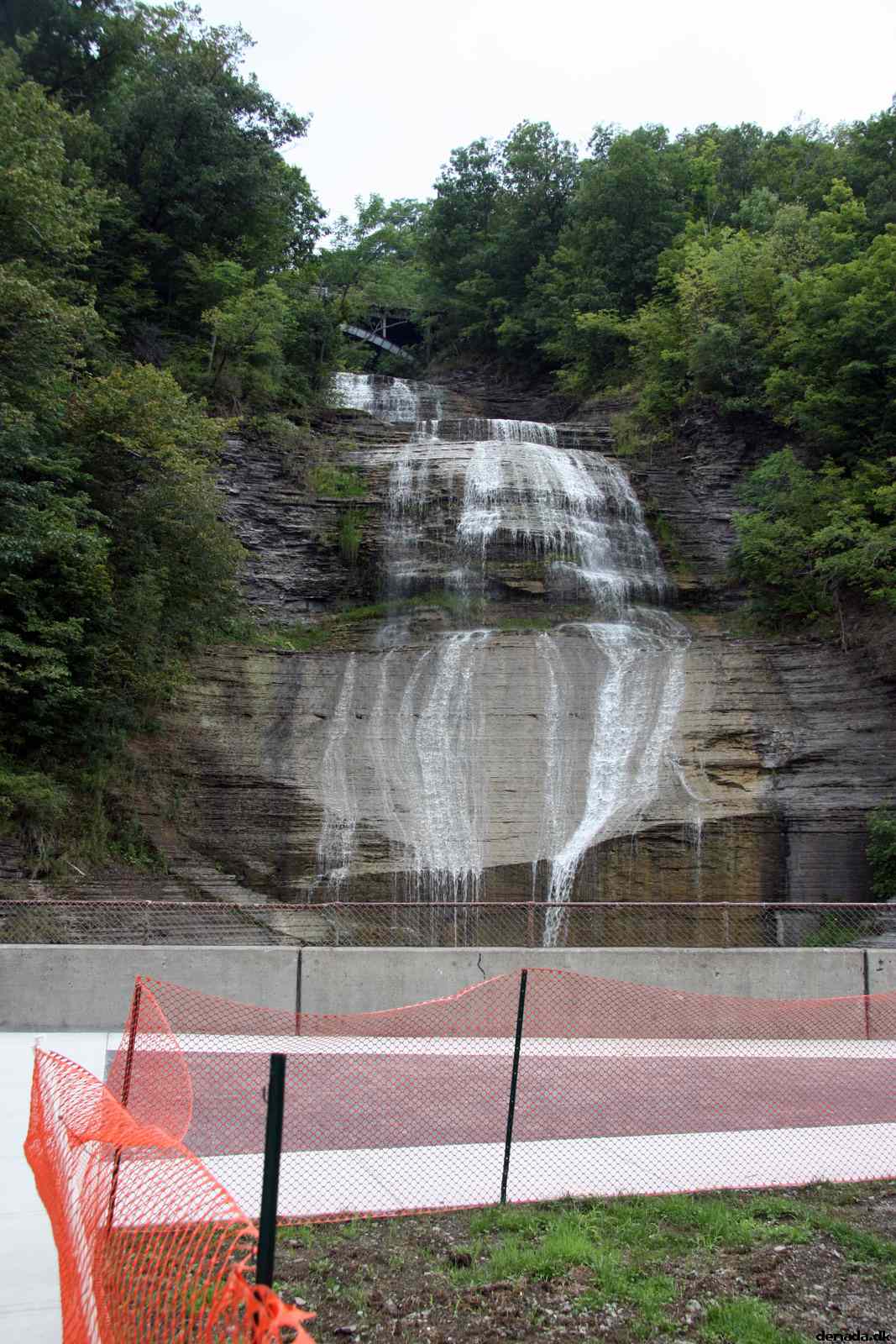 * Image 24