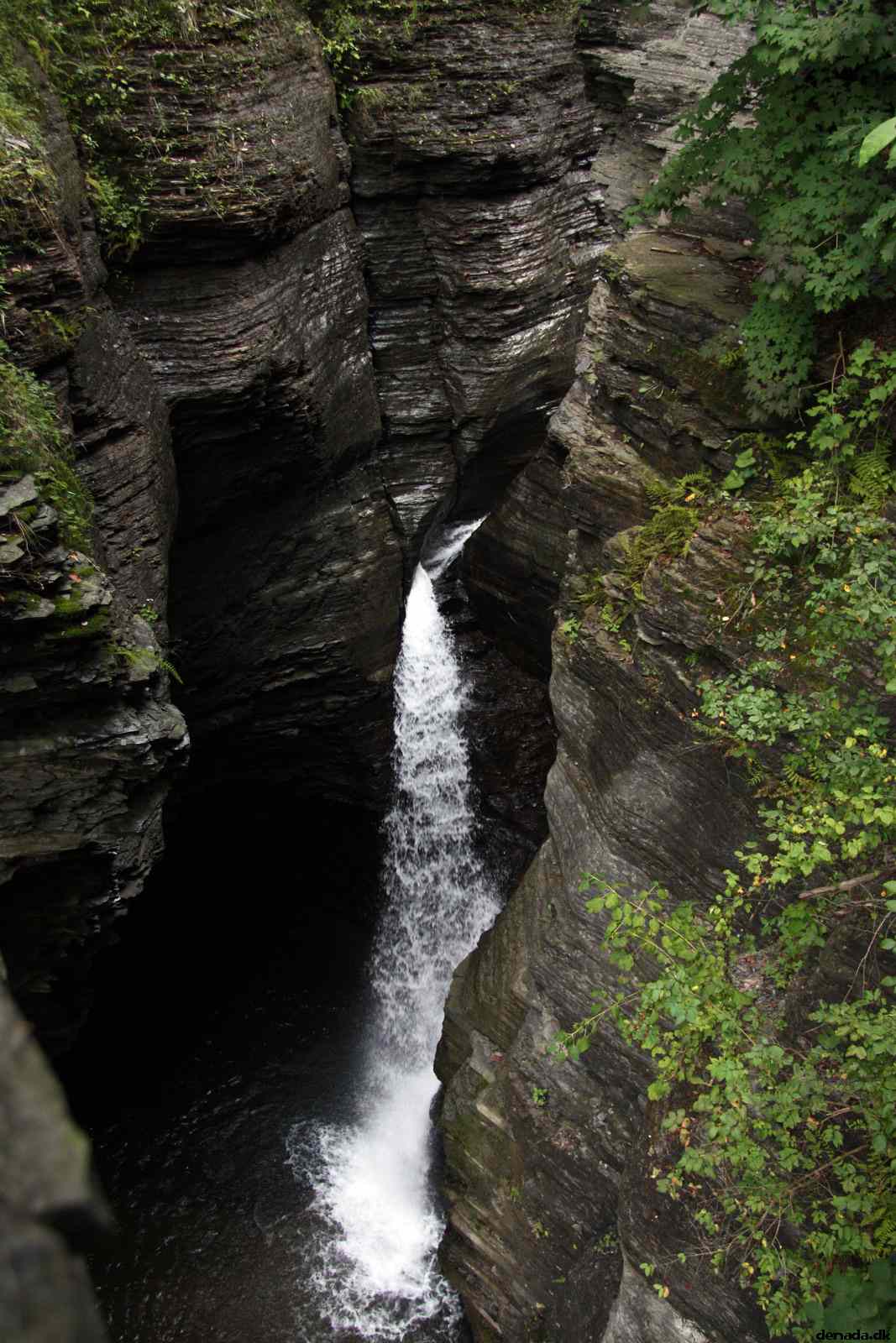 * Image 48