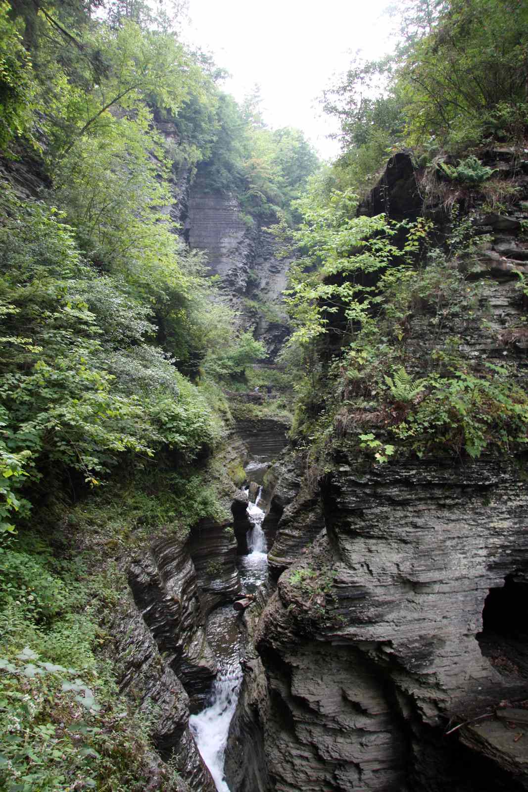 * Image 49