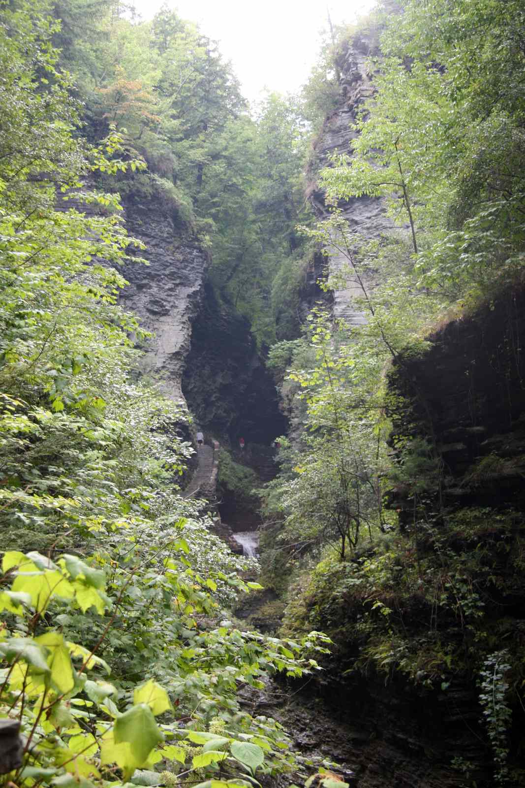 * Image 50