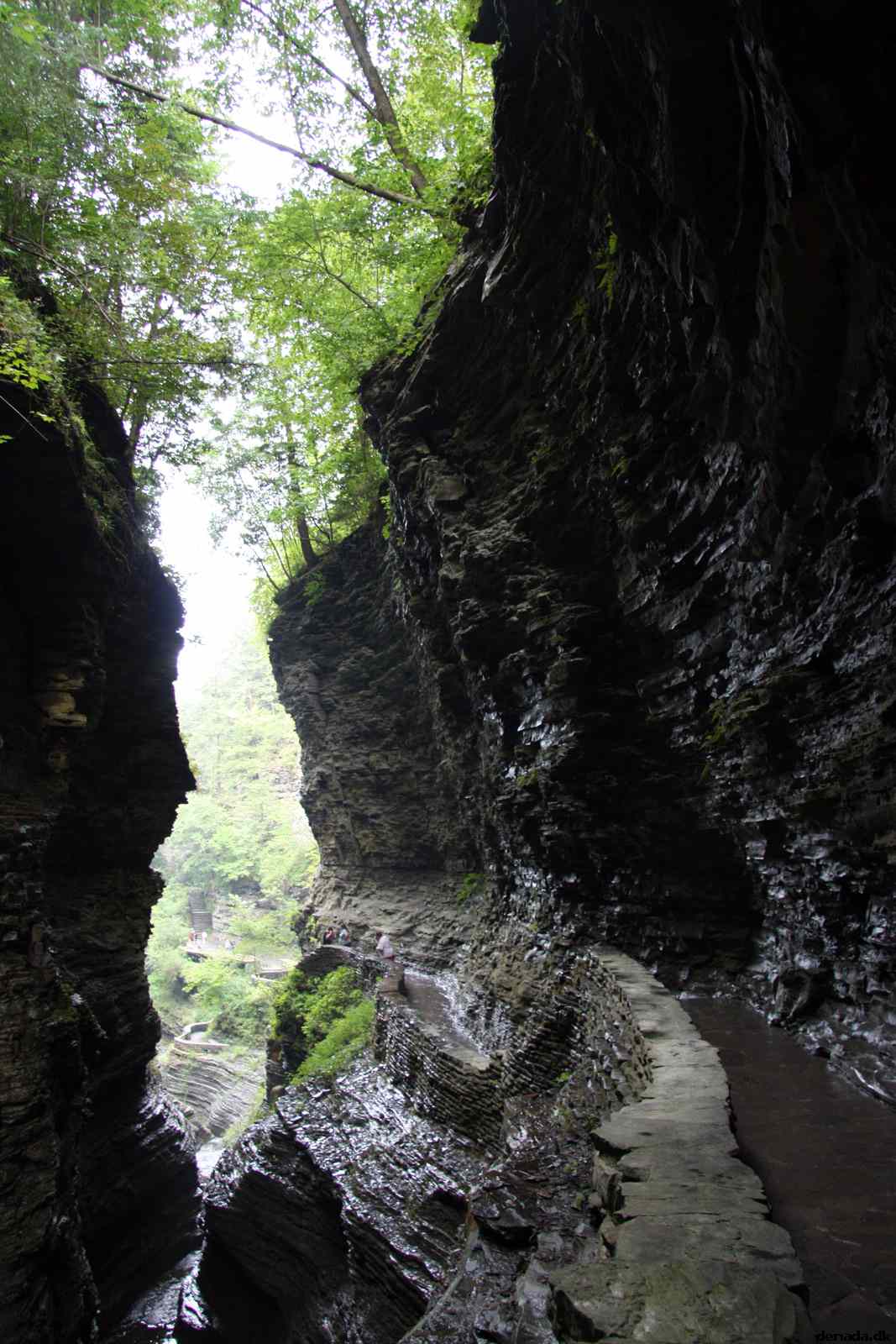 * Image 66