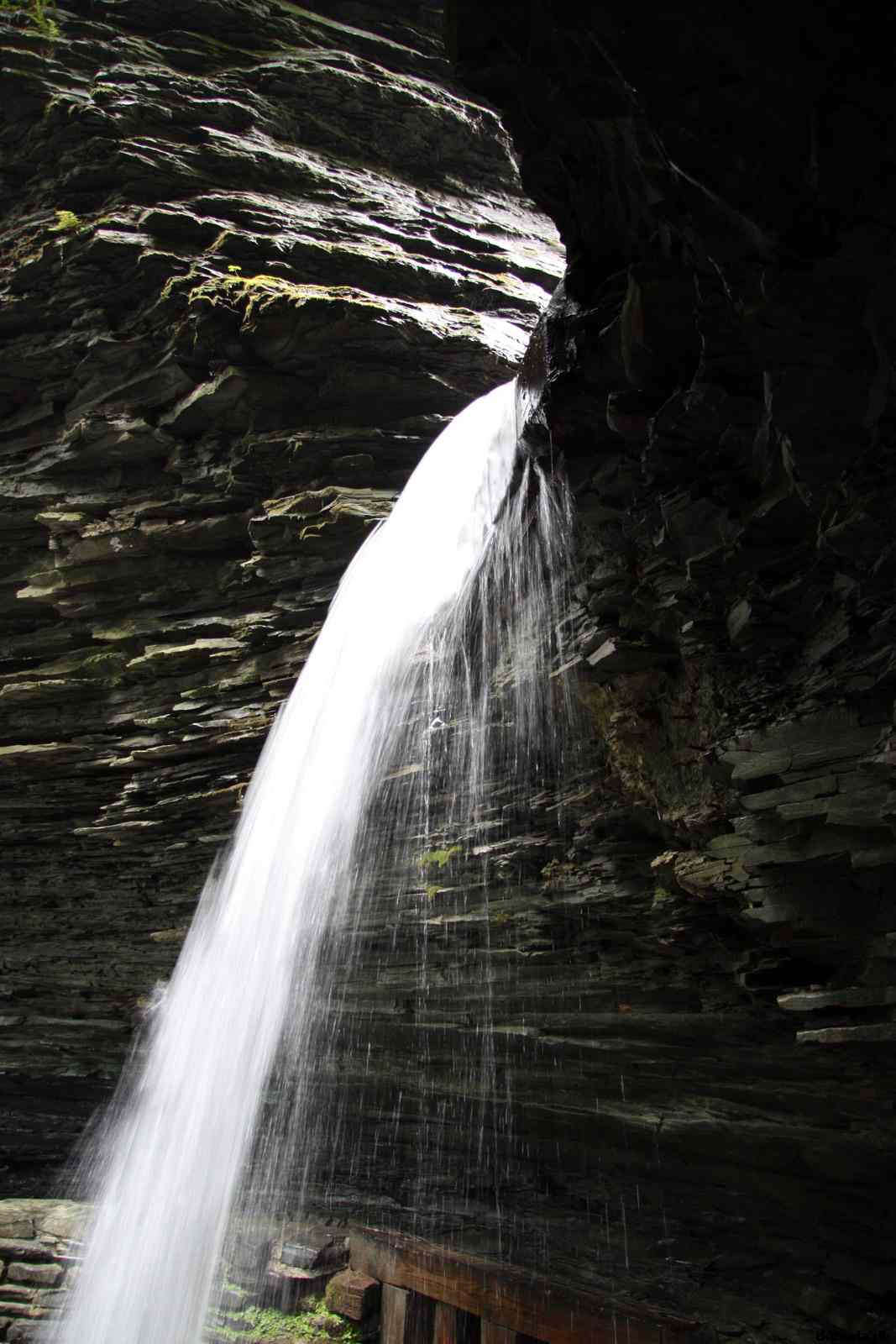 * Image 67