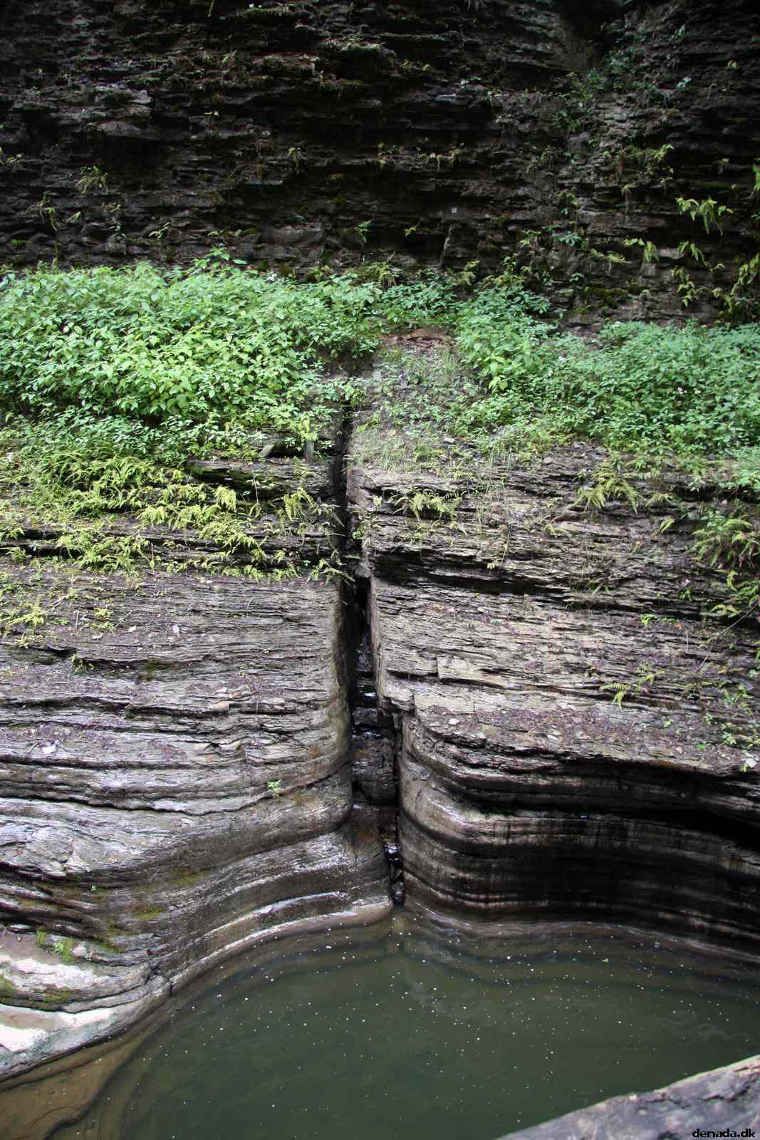 * Image 72